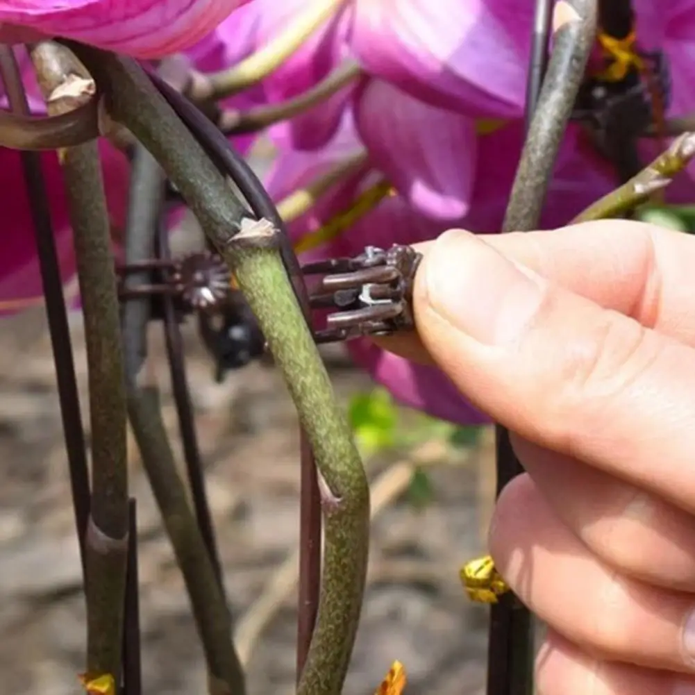Reusable Plant Support Clips 50pcs Orchid Plant Support Clips Plastic Gardening Fixing Clips for Phalaenopsis Tomato Vine Plant