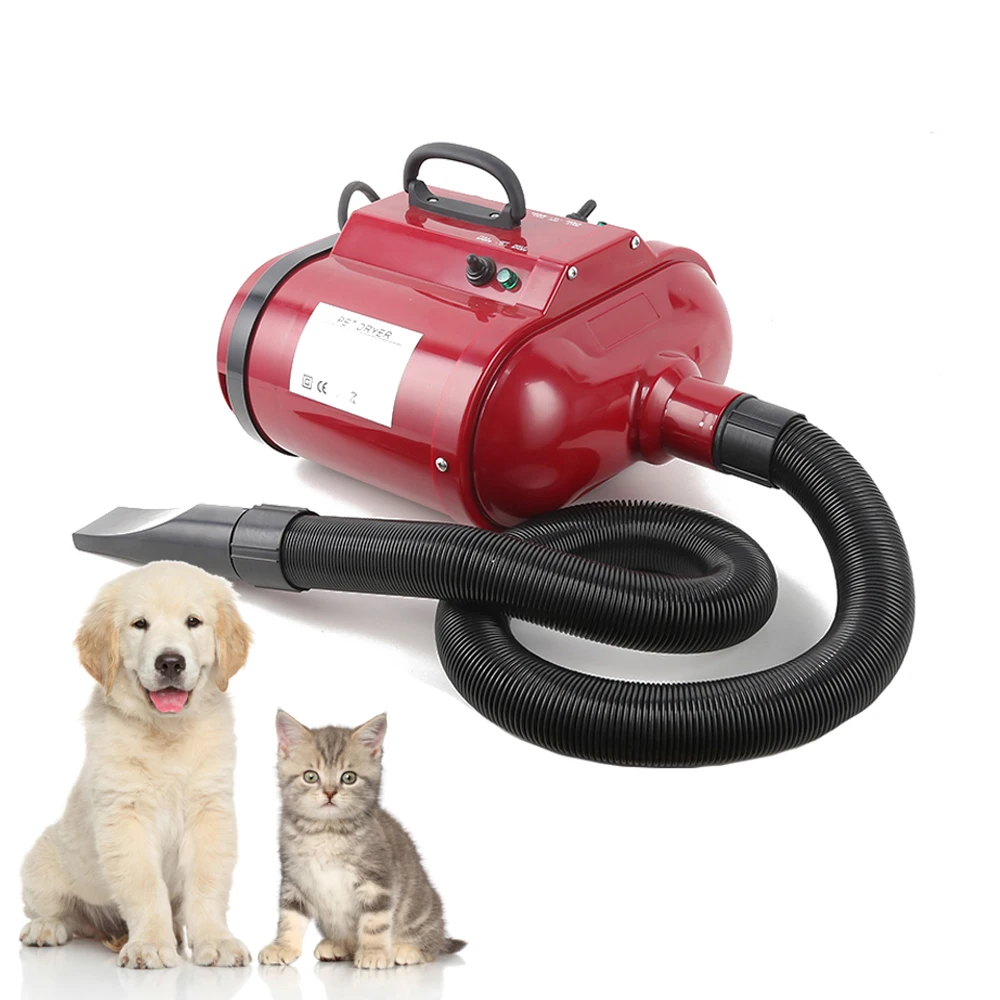 Adjustable Temperature 25-55 700W-2800W Double Motor Eco-Friendly CE Certified Reptile Hair Dryer Plastic Iron Pet Grooming