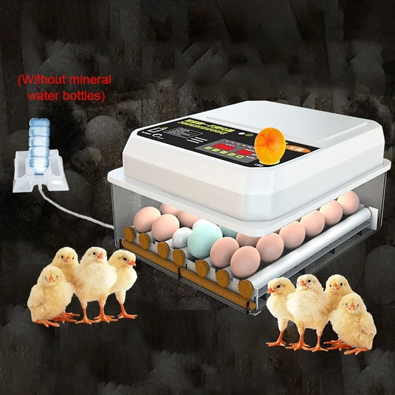 16 Eggs Fully Automatic Incubator With Drawer Type Mini Egg Incubator With Automatic Egg Flipping And Temperature Control