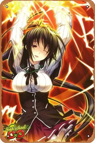 High School DxD Akeno Himejima Plakette Poster Metall Blechschild Vintage Wanddekoration