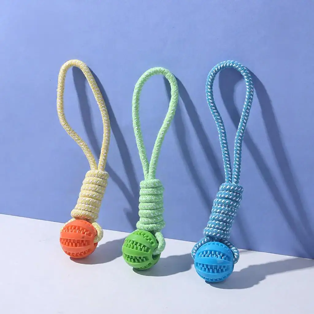 Anti-Bite Wear-Resistant Pet Chew Toy with Squeaky Sound Interactive Squeaky Plush Rope Dog Toy for Puppies and Adult Dogs