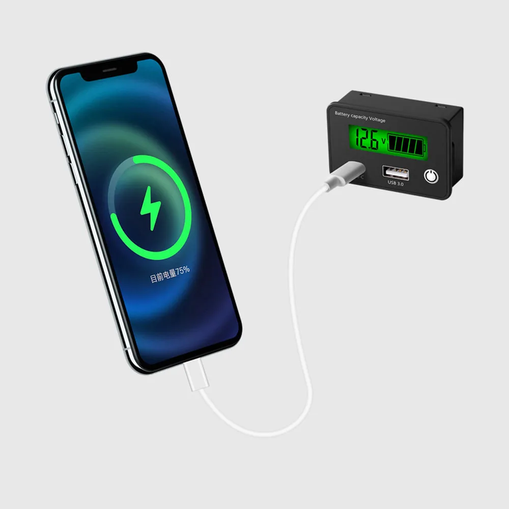 LCD 디지털 범용 전기 전압 계량기, 납산 리튬 LiFe PO4 배터리 용량 표시기, 12V, 24V