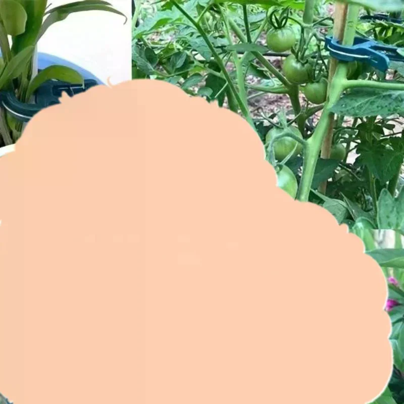 Plant Fixed Clips Reusable Garden Greenhouse Vine Climbing Clamp Flower Tomato Support Fastener No Break Firm Hold