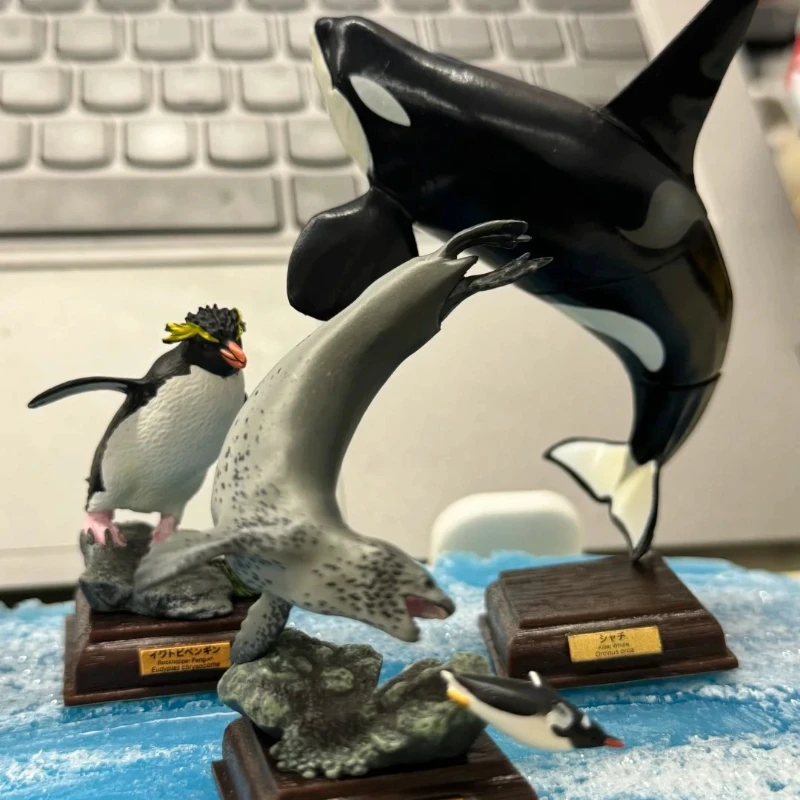 IKIMON tueur baleines Collection figurine jouet japonais véritable Gacha échelle modèle antarctique continent Codex vie chroniques