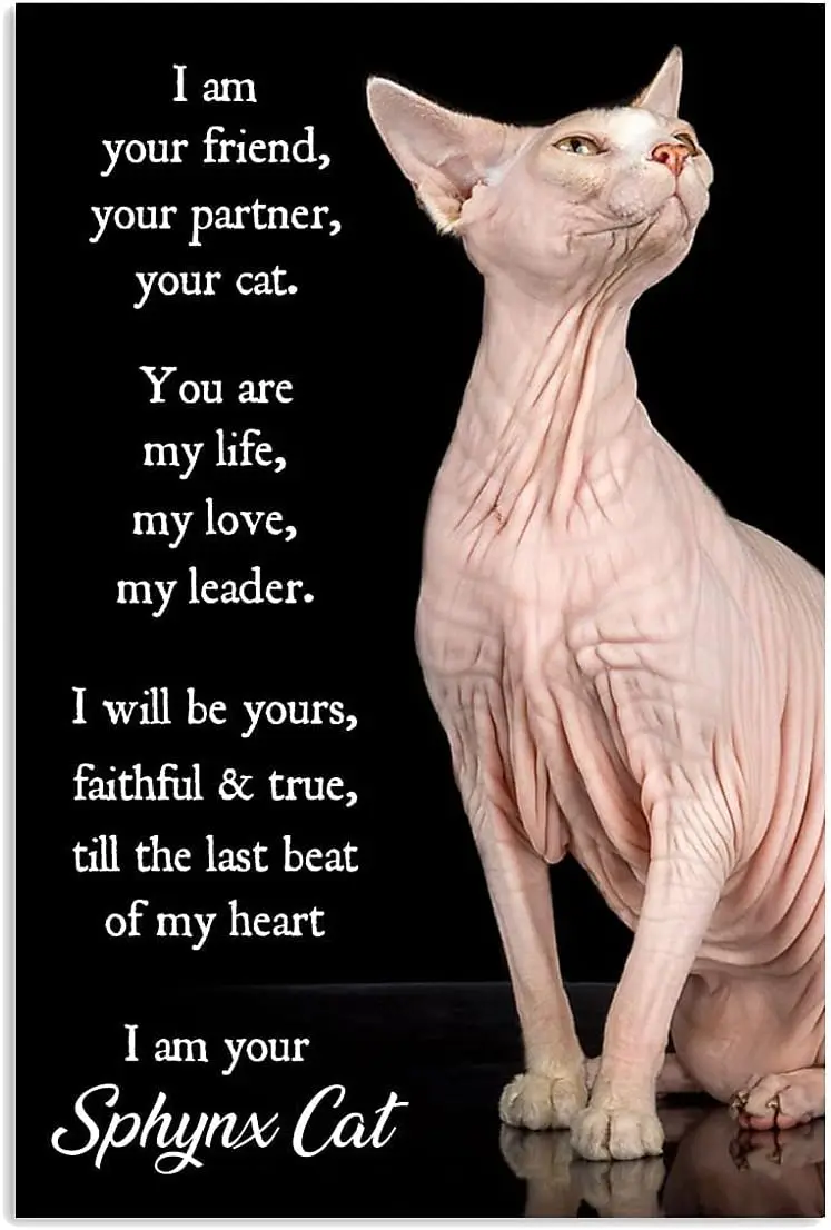 Tin Signs - Sphynx Cat I Am Your Friend Aesthetic Room Decor Funny Tin Sign   for Home & Kitchen Bar Club Bathroom Bedroom M