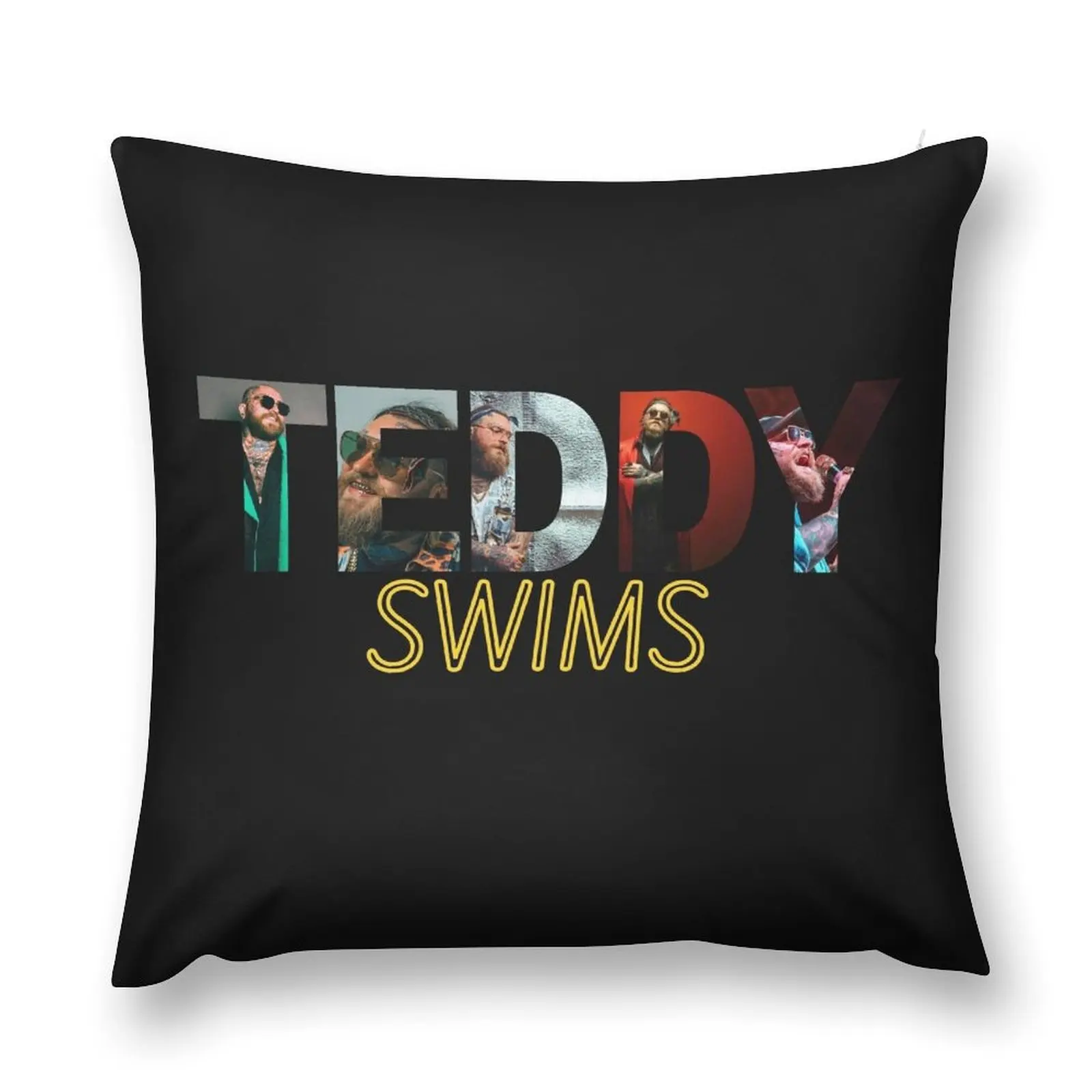 Teddy Swims Essential T Shirt Hoodie Throw Pillow Cushion Cover Set Cusions Cover luxury throw pillow covers pillow