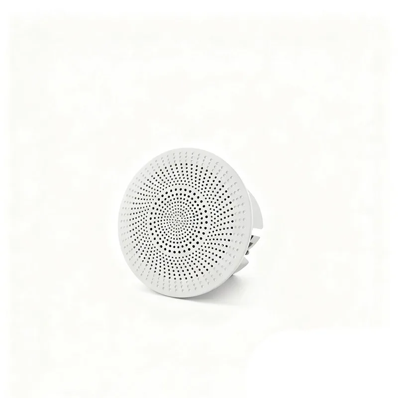 KT250B Ceiling Speaker - Home Theater Background Music System - Screen Music Intelligent Controller
