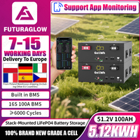 GoKWh 48V 51.2V 100Ah LiFePO4 Battery Pack Built-in Smart 100A BMS Rechargeable for off Grid Solar Home Energy Storage System EU