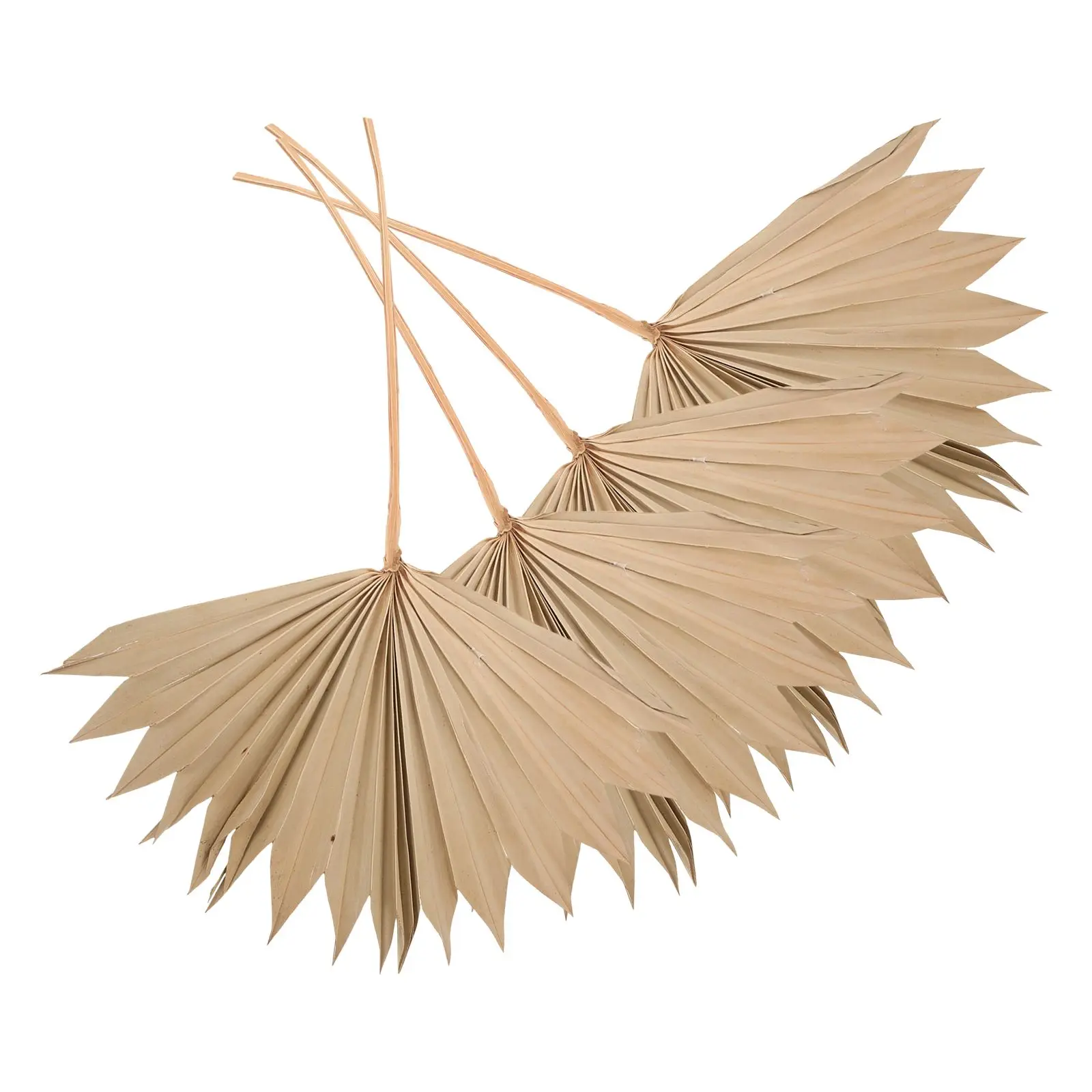 

4 Pcs Dried Palm Leaves Unique Adorn Cattail Fan Vase nament Wedding Boho Wall Decor Vivid Palm Leaf Flower Arrangement Dry