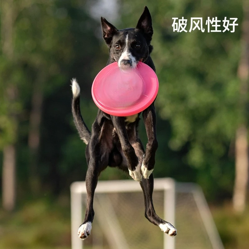 Standard Frisbee, Frisbee for dog racing.