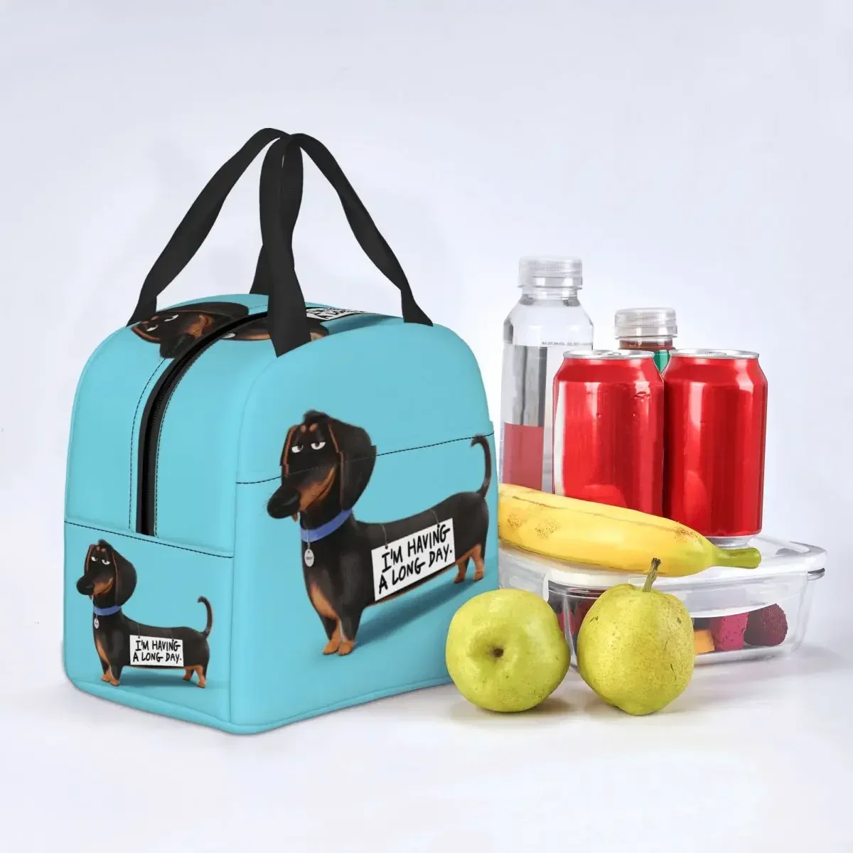 Dachshund Dog Insulated Lunch Bag for Women Waterproof Sausage Wiener Badger Thermal Cooler Lunch Box Office Work School