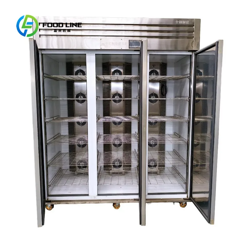 Commercial Frozen Food Defroster Air Cooled Low Temperature High Humidity Triple Door Thawing Cabinet Stainless Steel customized