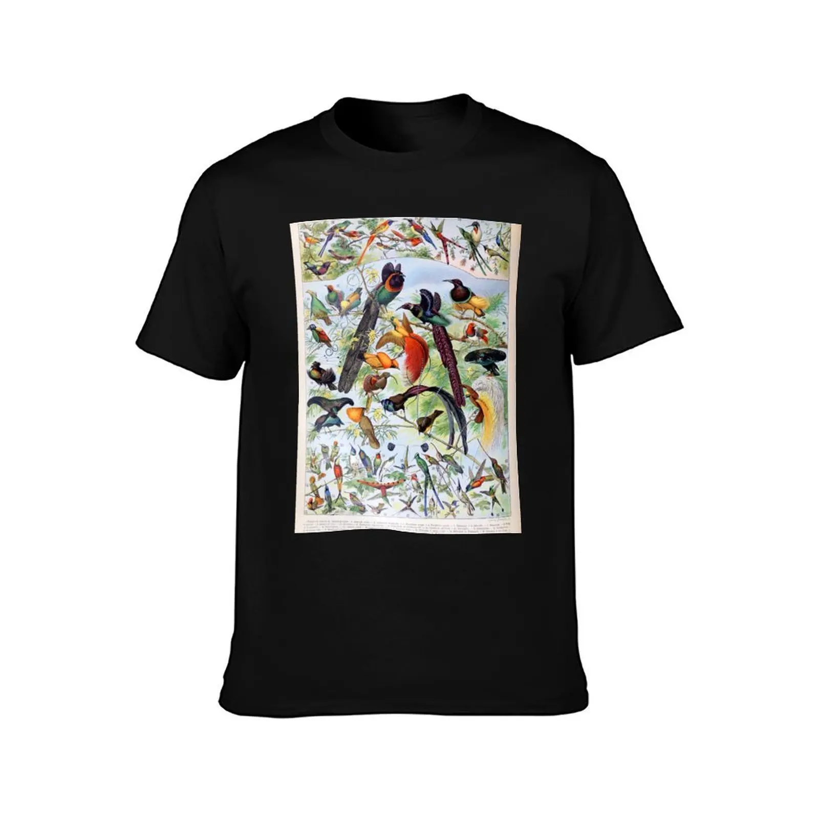 Adolphe Millot - Oiseaux B - French vintage poster T-Shirt, Summer Casual Cotton Tee, Oversized Streetwear Tops, 100% Cotton