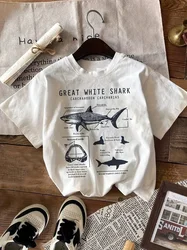 Great White Shark Anatomy Tshirt moda donna manica corta Beach Diving Journey t-shirt per il tempo libero in puro cotone Marine Animal Top