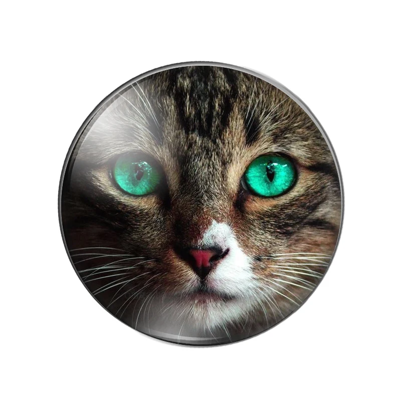 New Cat Face Patterns 10pcs mixed 12mm/14mm/16mm/18mm/20mm/25mm Round photo glass cabochon flat back Making findings