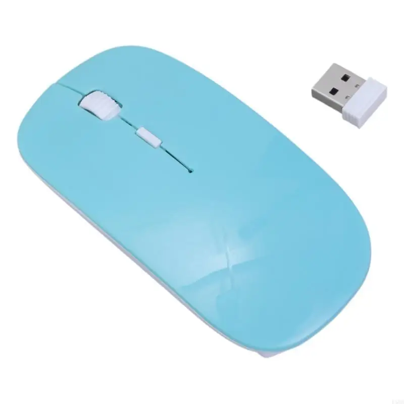 D5BB 2.4G Chuột không dây có pin không dây máy thu USB