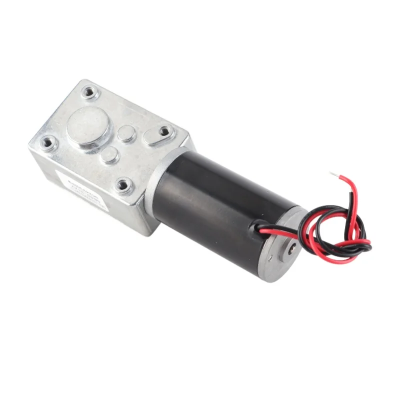 DC24V Self Locking Worm Gear Motor Reversible Single Shaft Speed Reduction Motor 5840 31ZY