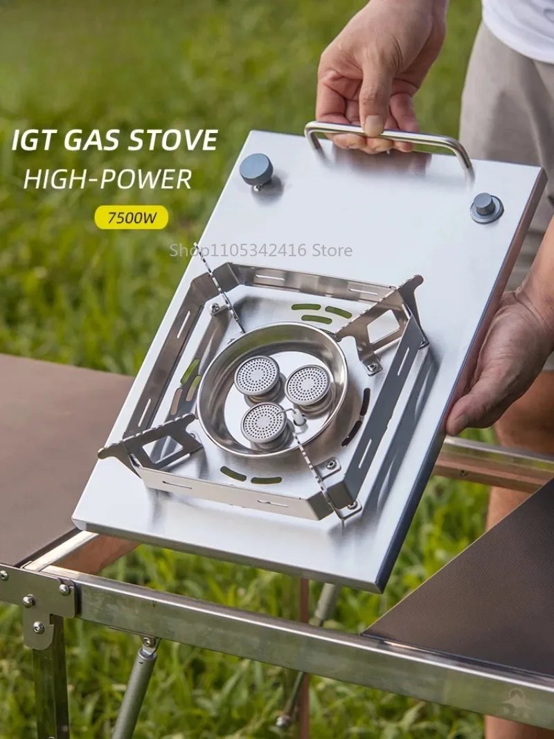 Folding Stainless Steel BBQ Gas Grill, Portable Stove for Home Outdoor Camping Travel & Vacation Use