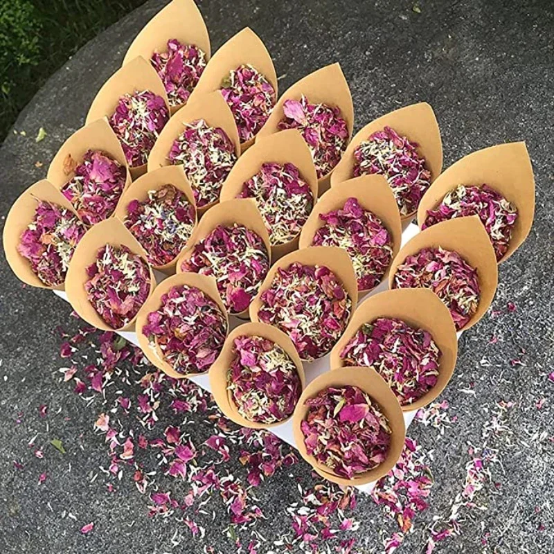 1/10/36 Pack Confetti Dried Flowers and Petals Wedding Confetti Dried Flower Petals Pop Wedding and Party Decoration Biode 4