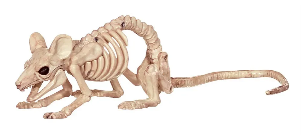 مخيف الهيكل العظمي الفئران الفئران الهيكل العظمي العظام ل الرعب هالوين حزب بار ديكور المنزل اكسسوارات الديكور الديكور #2