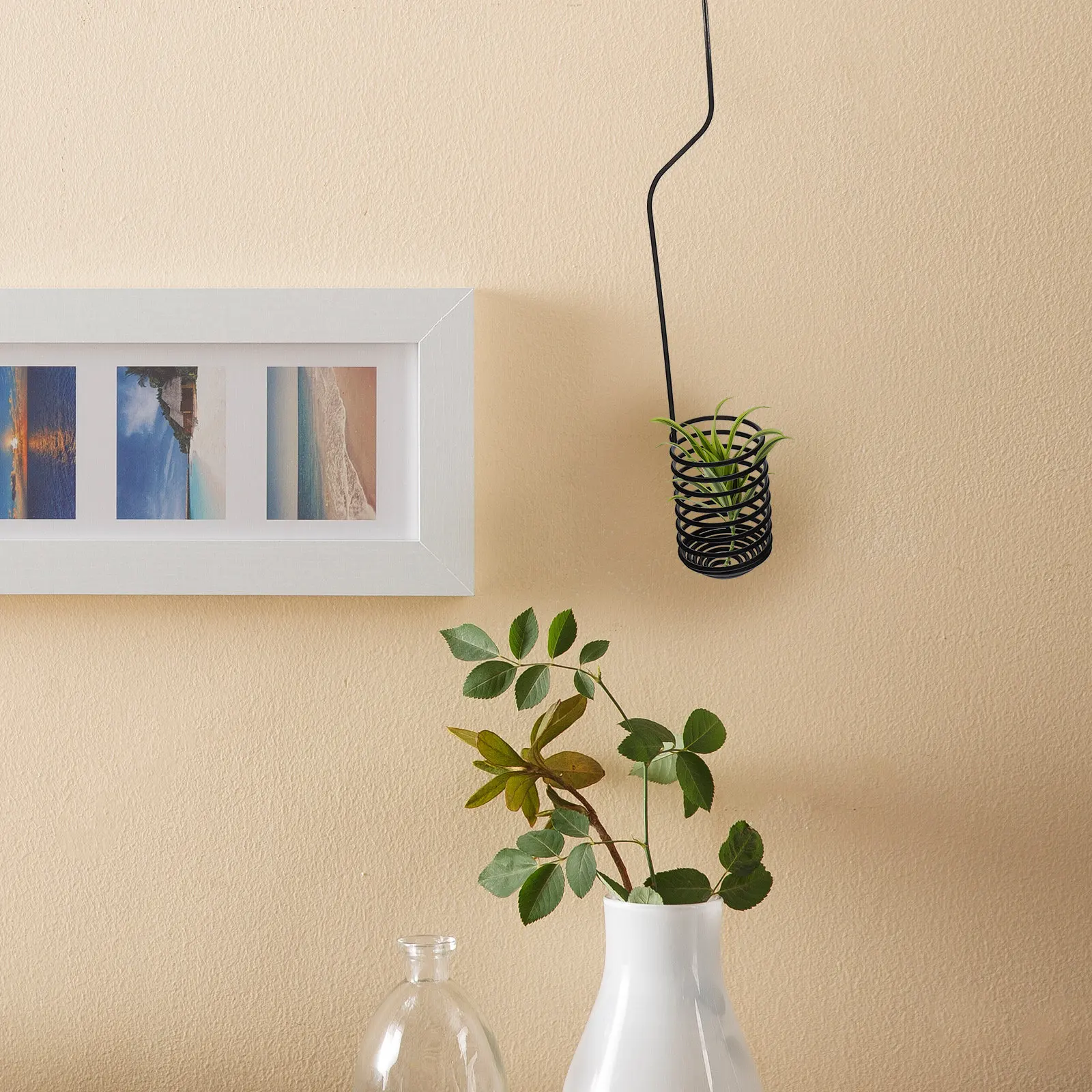 Suporte de Parede Espiral de F - Air Plant Tillandsia avaliação e preço