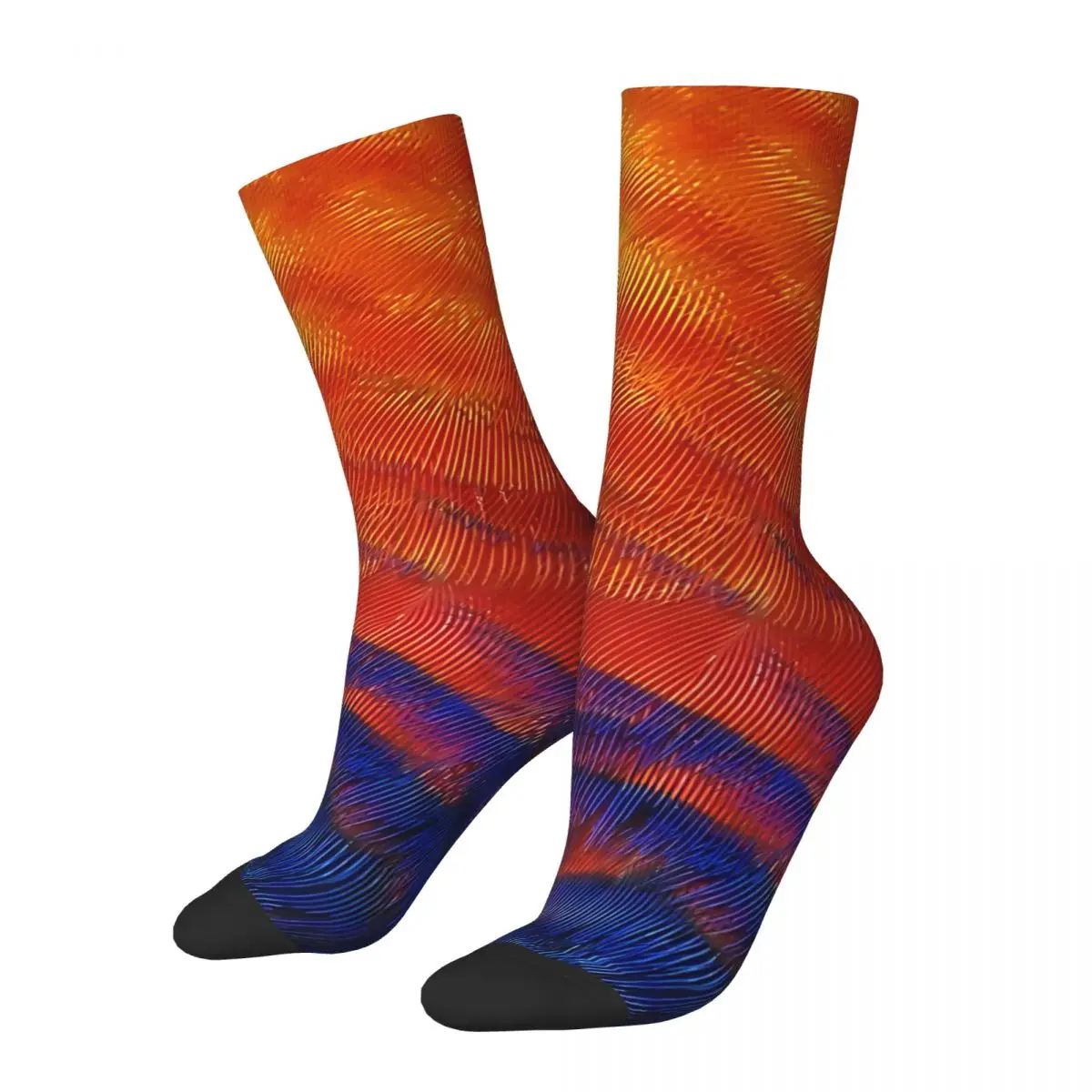 Funny Men's Socks Sun Conure Vintage Feathers Hip Hop Crazy Crew Sock Gift Pattern Printed