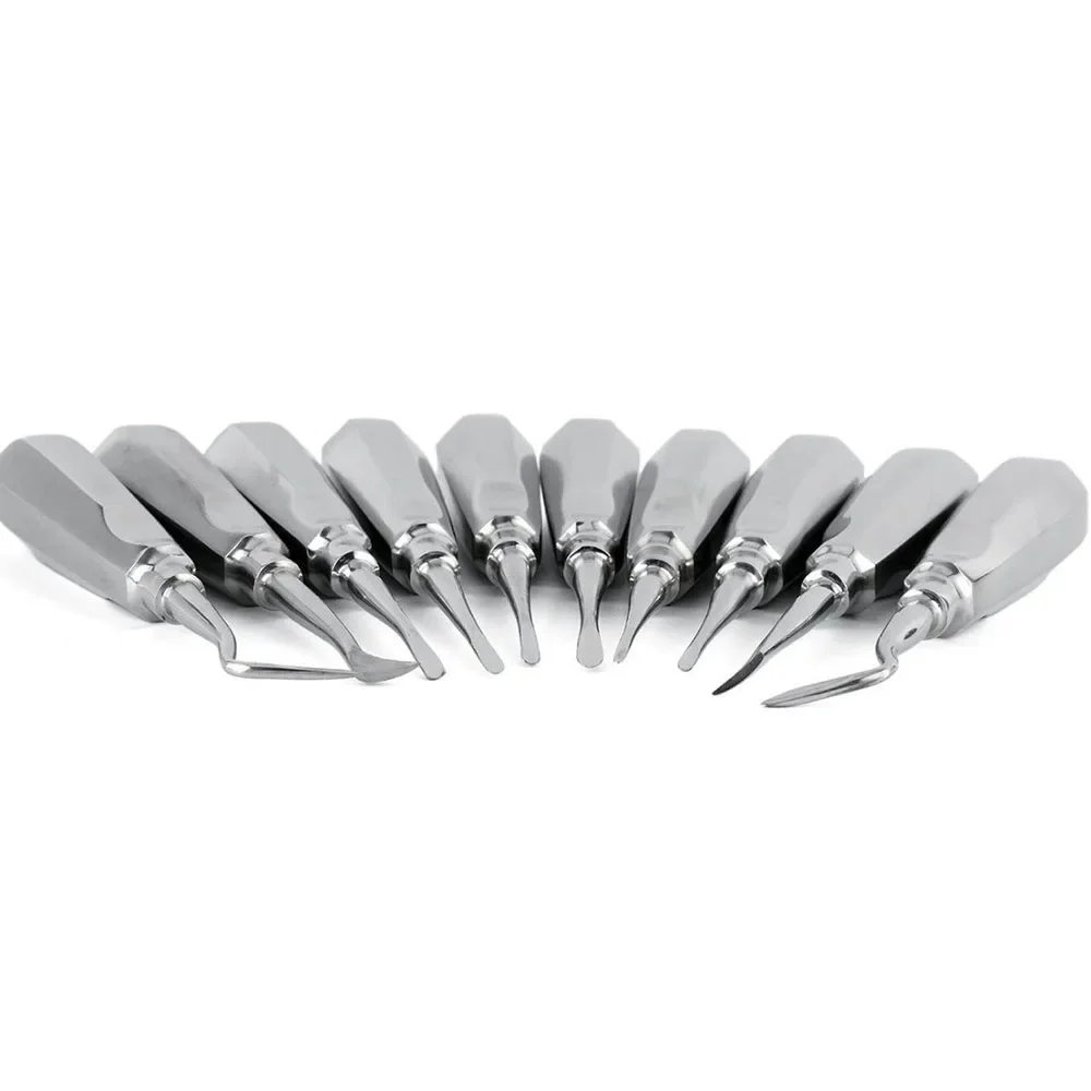 10 Pcs Stainless Steel Dental Extraction Elevator Set Straight Curved Root Lifter Reusable Surgical Instrument Kit