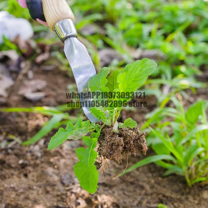 Drafter Weeding Seedlings Outdoor Digging Wild Vegetables Small Gardening Tool