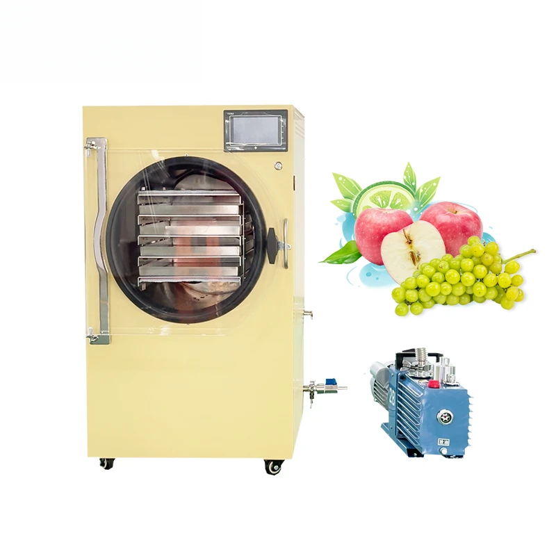 Large Capacity Drying Food Fruit And Vegetable Household Freeze Dryer With Vacuum Pump