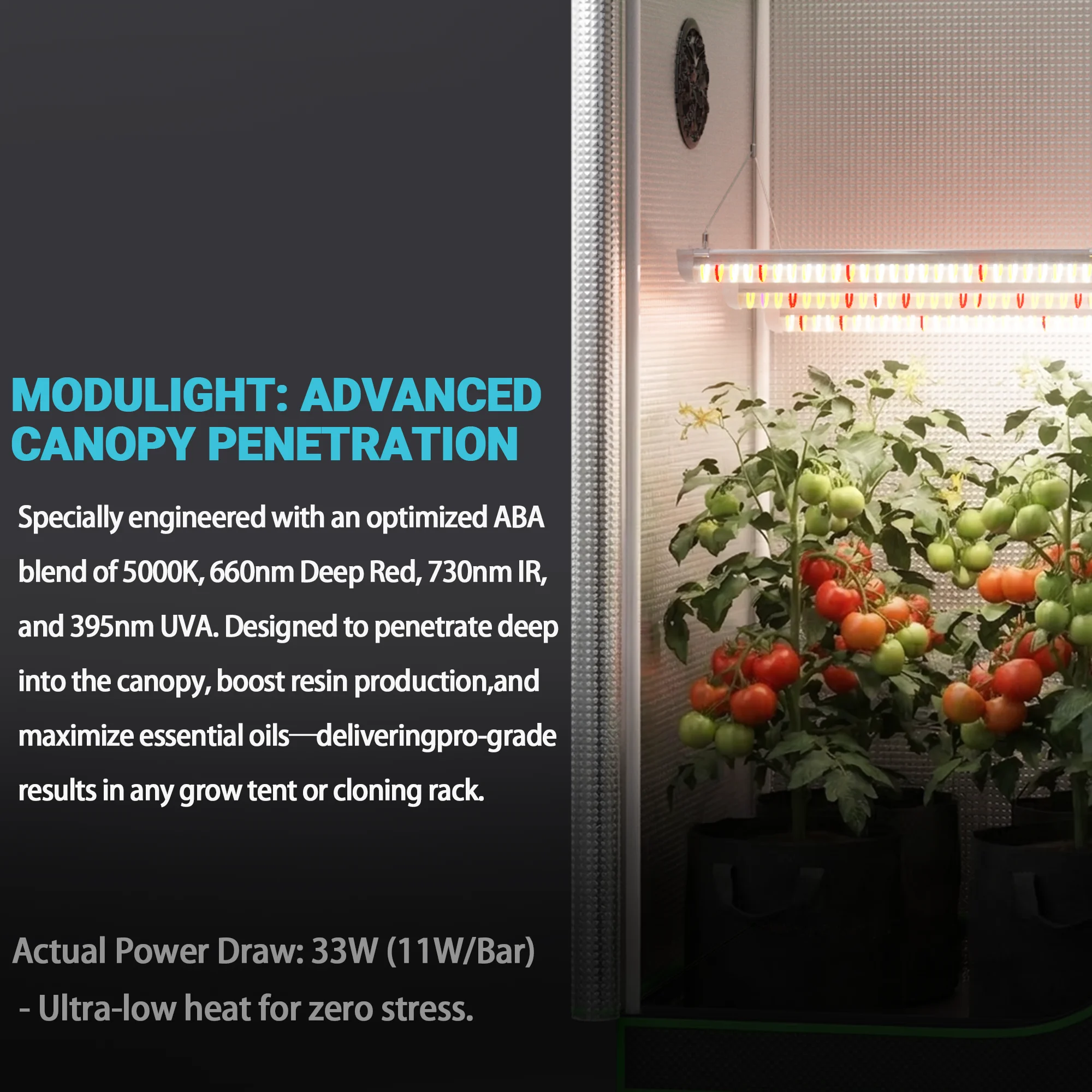 Alpha Grow 4x2ft Planting Box Accessory Room | 6" Ventilation Filter Cloth Combo, Black Hanging Rope & 100W Phytolamp Set view 3