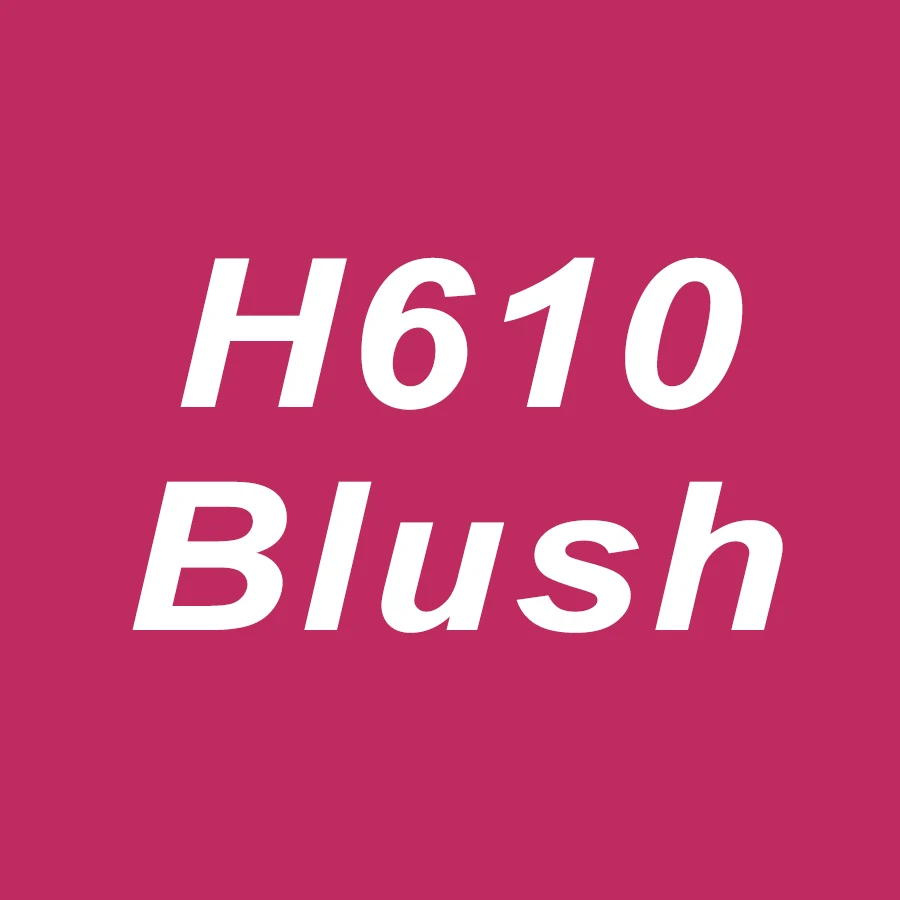 H610