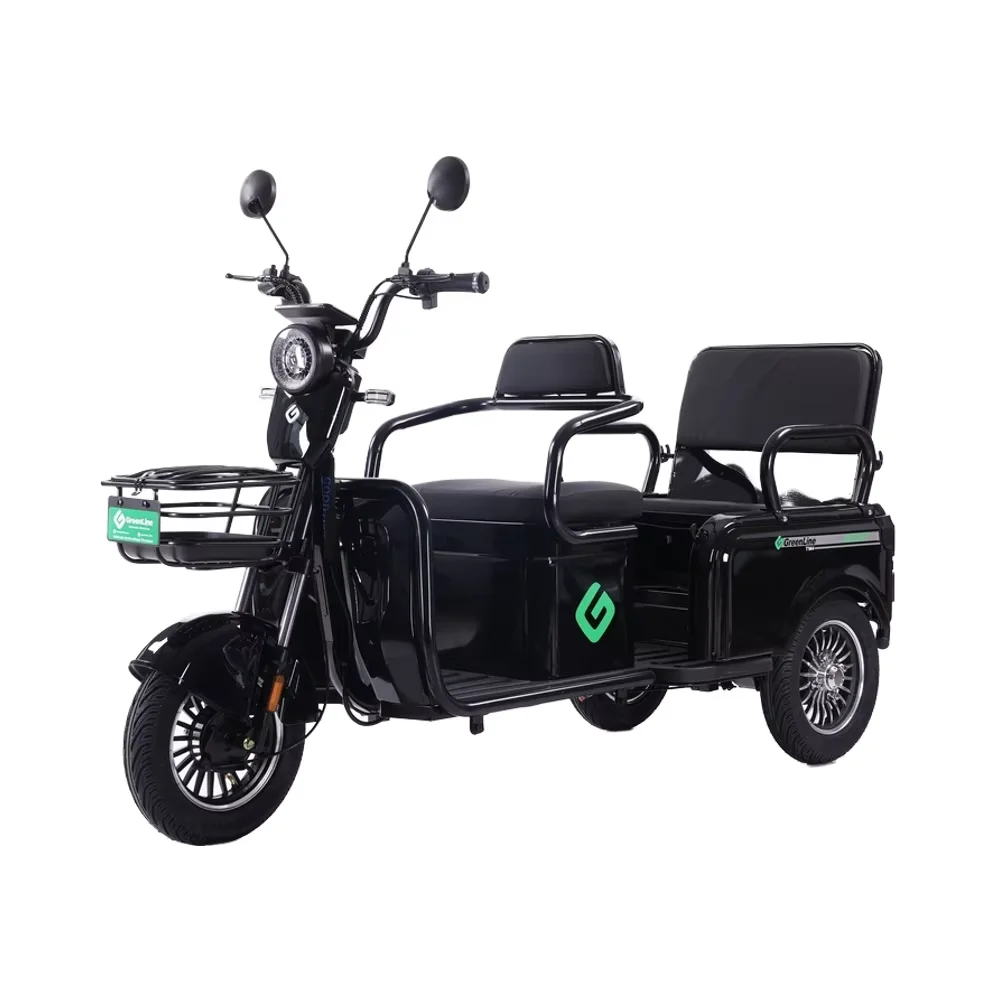 2025 New Model Folded 3 Wheels Electric Scooter 800w Leisure Electric Tricycles for the Elderly Mini Electric Motorcycle