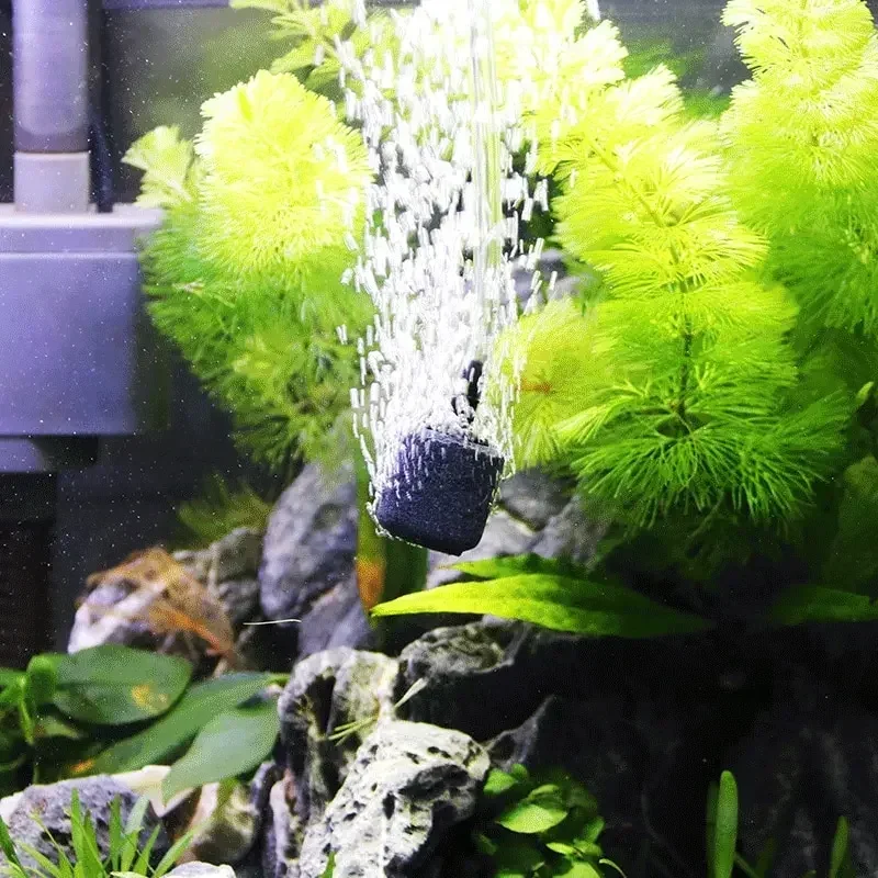 

Aquarium Air Pump Accessories Kit with Air Stone Bubble Aerator, Check Valves, Suction Cups, Air Tube, for Fish Tank Oxygen Pump