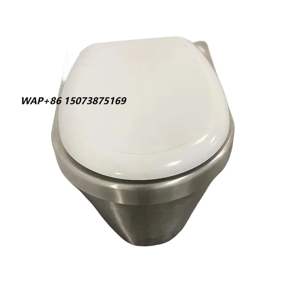 American Style Intelligent Automatic Electric Toilet Elegant Custom Color Bathroom Mobile Toilets