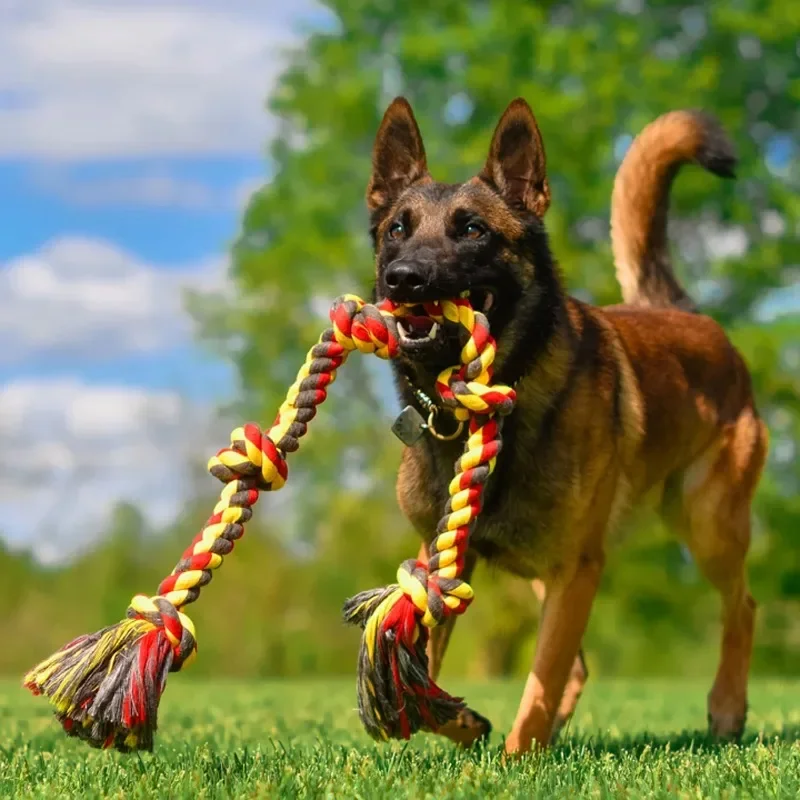 

NEW Cottonblend 5 Knot Tug Rope Dog Toy, Super XL, 72", Assorted Colors-Guaranteed Authentic