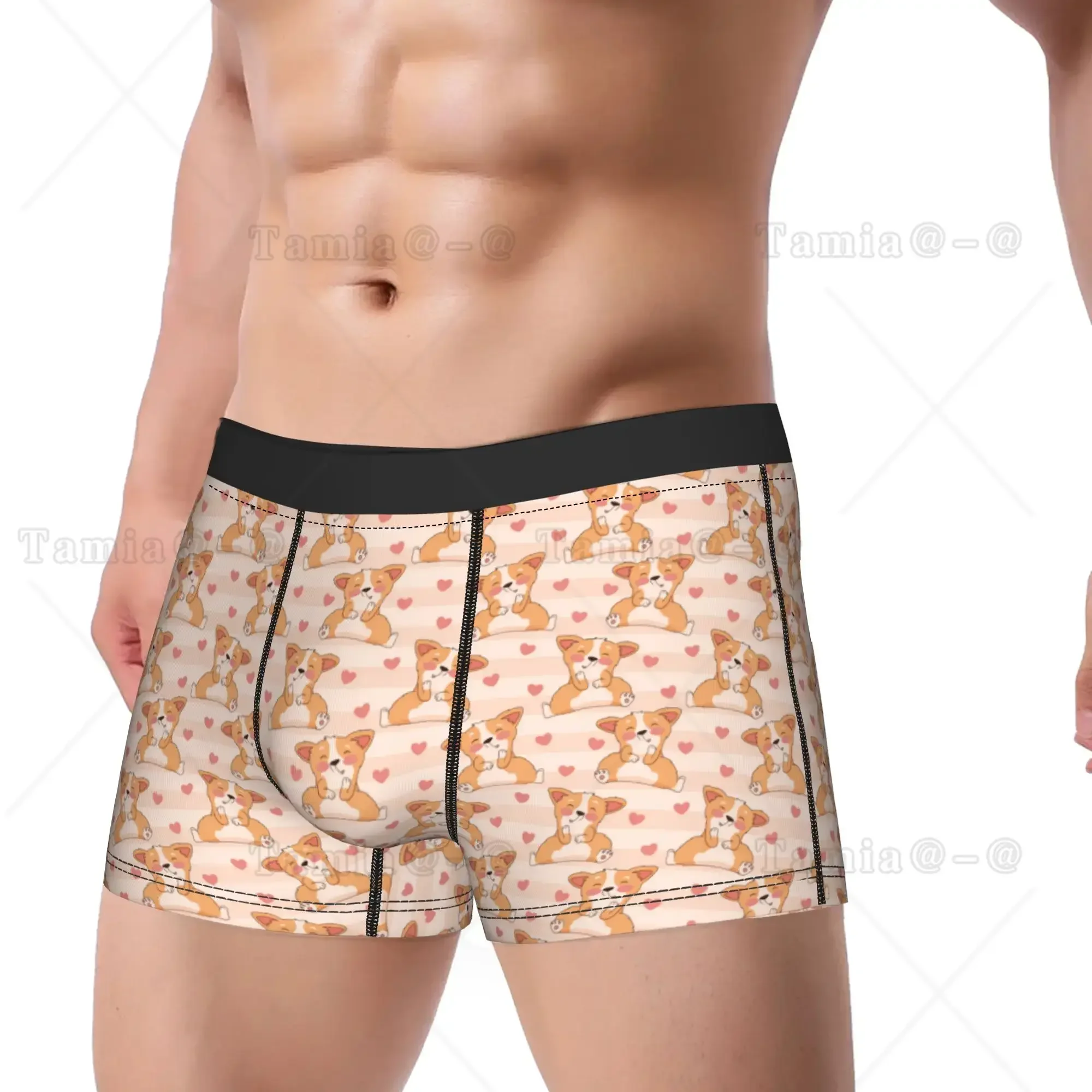 Cute Happy Corgi Dog Animal Cartoon Boxershorts  Pouch Underwear Trenky Print Shorts Briefs Comfortable Men Underpants Plus Size