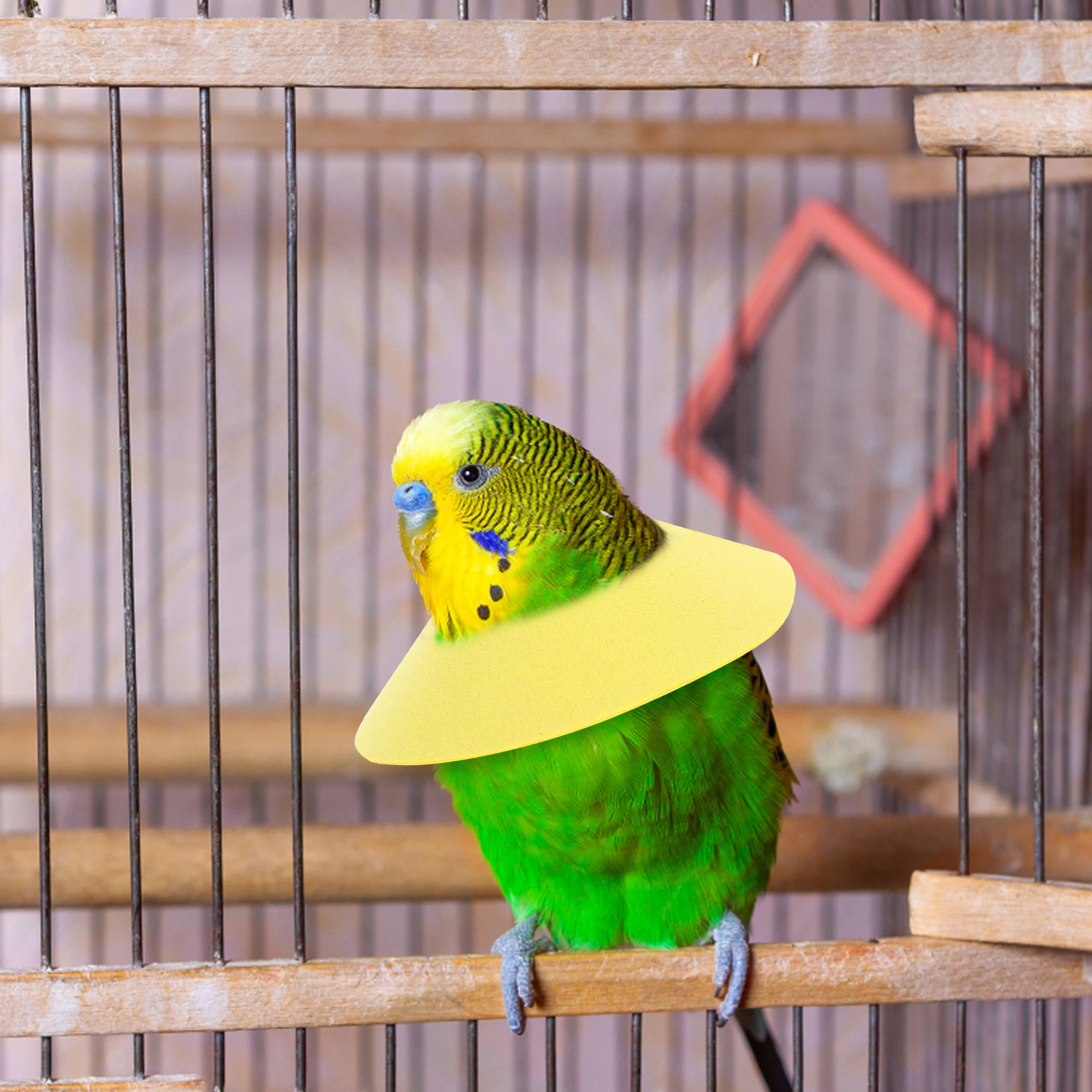 مكافحة طوق الطيور الببغاء الرقبة حامي الانتعاش مخروط لينة ورأى تصميم سهل ضبط الطيور إمدادات الحيوانات الأليفة الملحقات