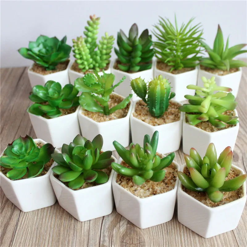 

Artificial Succulents Bonsai Green Cactus Lotus Plant + White Ceramics Flowerpot Home Wedding Christmas Party Decor