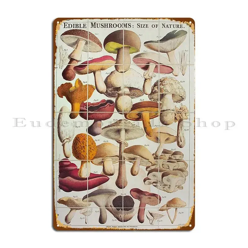 Tabla de setas comestible Vintage, placa de Metal de Champignon, decoración de pared, decoración de fiesta personalizada, cartel de estaño Retro