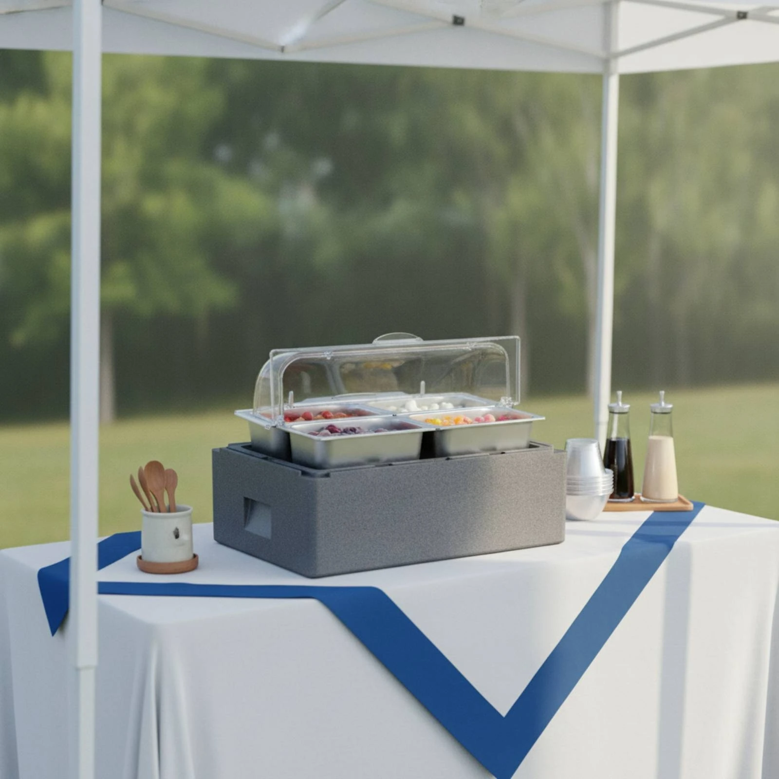 Insulated Food Display Box Thermal Cooler Box with Trays Container Heavy-Duty Tray Rectangular for Caterers, Catering, Buffets