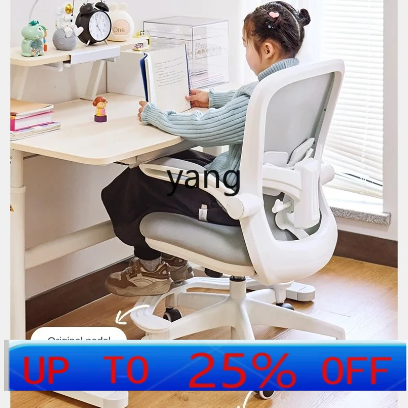 LTT Learning Chair Home Middle School Student Writing Lifting Desk Children Chair Office Dedicated Computer Chair