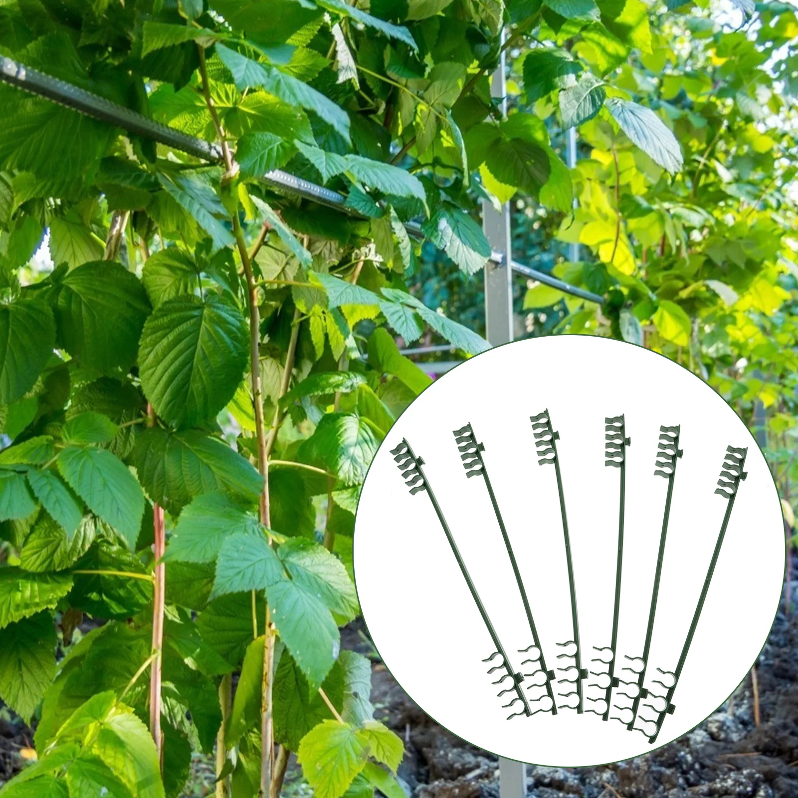 50 pçs capaz estaca braços planta suporte conectores acessórios de jardinagem plástico ajustável rack tomate escalada videira