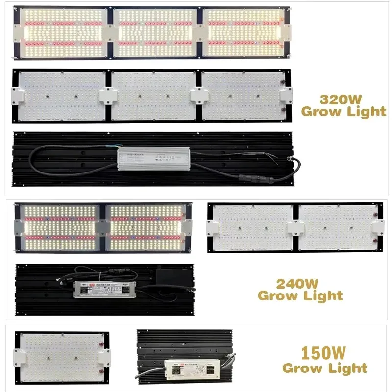 150 واط/240 واط/320 واط لوحة التكنولوجيا Lm301h Evo جودة عالية الأشعة فوق البنفسجية الأشعة تحت الحمراء الأزرق الطيف الكامل تنمو أضواء LED للنباتات الداخلية #5