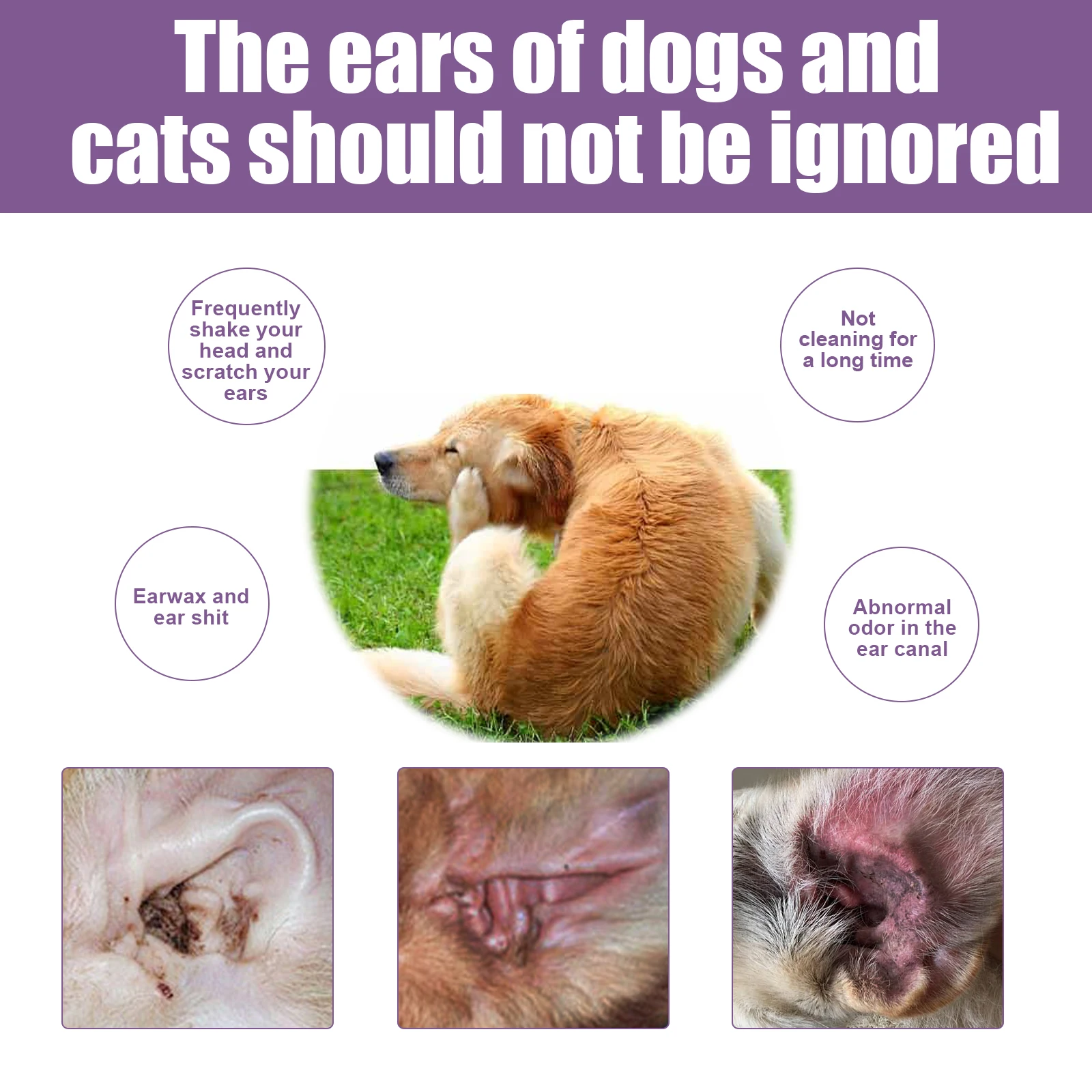 Yegbong-Płyn do czyszczenia us – Pet Ear Cleaner recenzja i cena