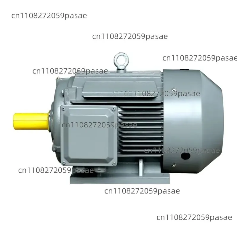 Suitable for The 200L1 2-pole, 3,000 Rpm, High-speed 400 V AC YE4 and 30 KW Induction AC Motors