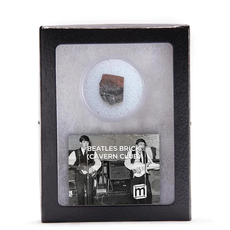 

The Beatles Real Specimen Mini Ornament Collection