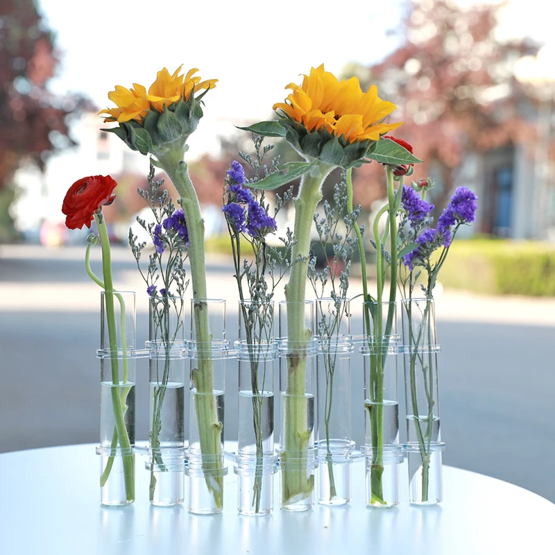 Vase à essai en verre transparent, jardinières hydroponiques, vase à fleurs à charnière, porte-fleurs pour la décoration intérieure, 6 pièces, 8 pièces