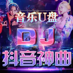 Car USB , pop song 2025 new d j high quality