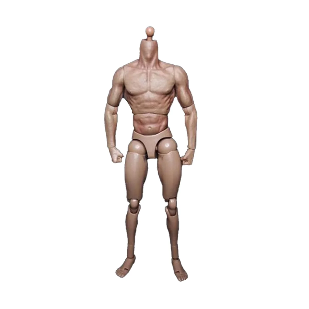 

1/6 Scale Narrow Shoulder Male Body Doll Action Figure for TTM18 TTM19 Hot Toys & Human Body Sketch Model