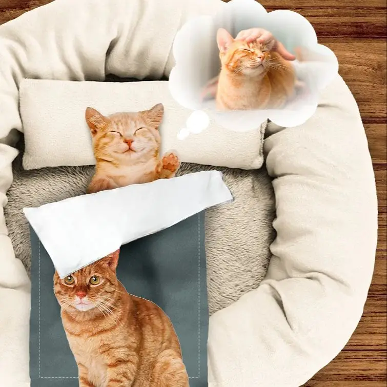 

Фланелевое Одеяло для питомцев на заказ, милый мягкий ковер с персонализированным фото пушистого щенка, с именем, для маленьких девочек, с мультяшными животными